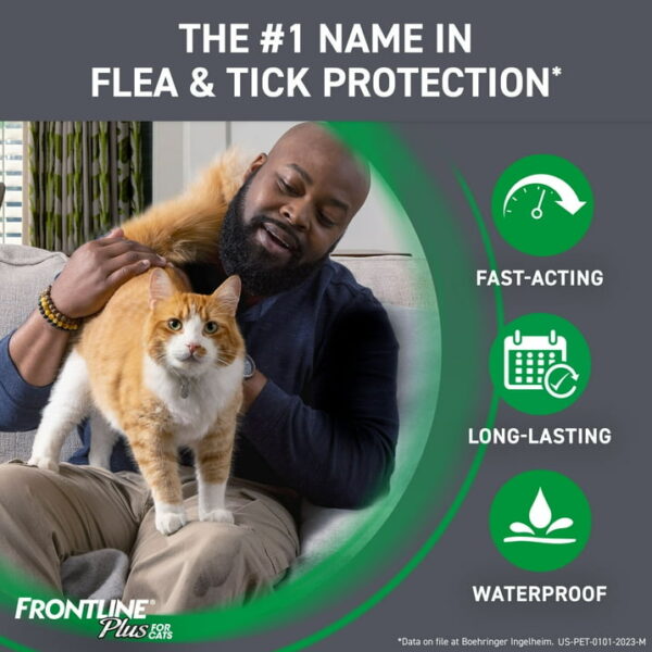 FRONTLINE Plus For Cat & Kitten Flea & Tick Spot Treatment - 3 Counts - Image 2