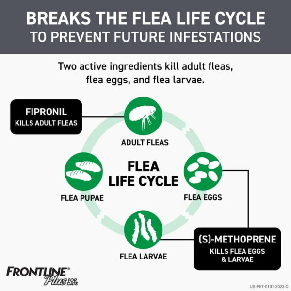 FRONTLINE Plus For Cat & Kitten Flea & Tick Spot Treatment - 3 Counts - Image 4
