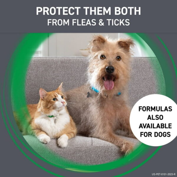 FRONTLINE Plus For Cat & Kitten Flea & Tick Spot Treatment - 3 Counts - Image 7