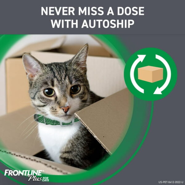 FRONTLINE Plus For Cat & Kitten Flea & Tick Spot Treatment - 3 Counts - Image 9