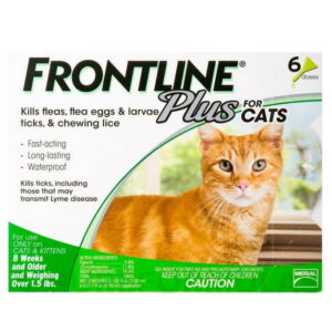 FRONTLINE Plus For Cat & Kitten Flea & Tick Spot Treatment - 6 Counts