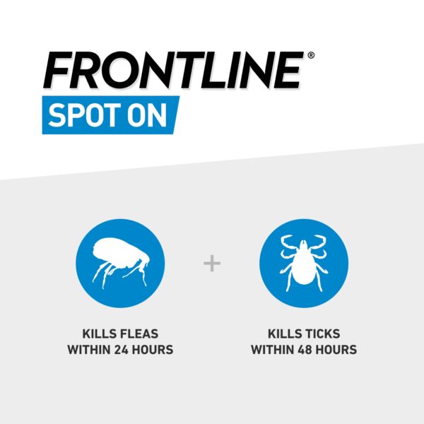 FRONTLINE Spot On Flea & Tick Treatment Cat - 6 Counts - Image 3