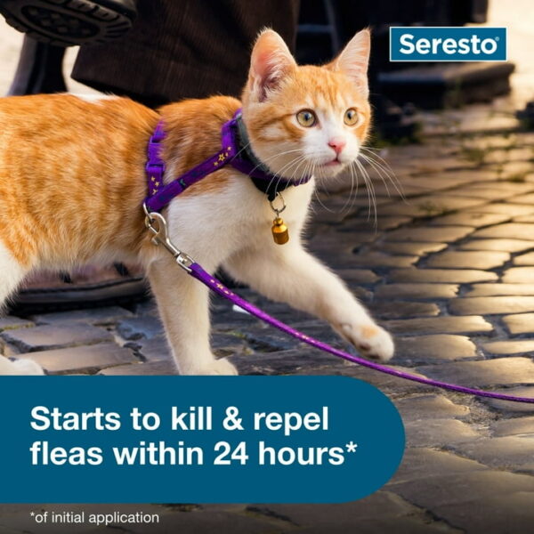 Seresto 8-Month Flea & Tick Prevention Collar for Cats - Image 6